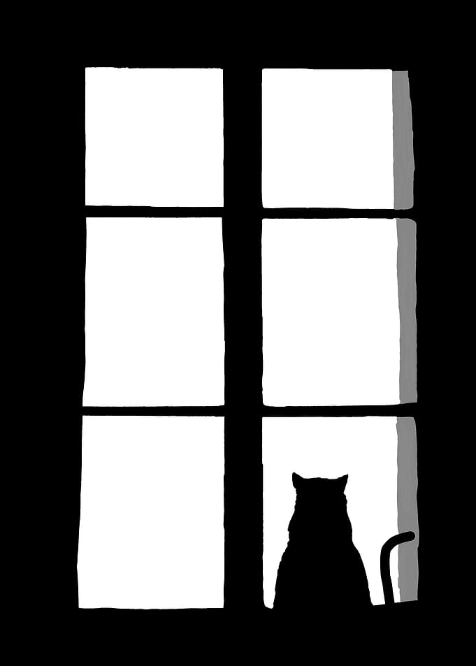 Sad Cat