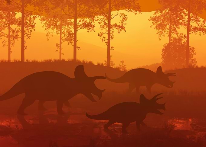 Triceratops dinosaur herd