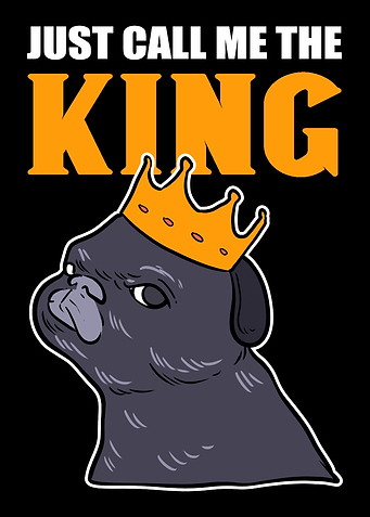 Call The King Pet Groomer