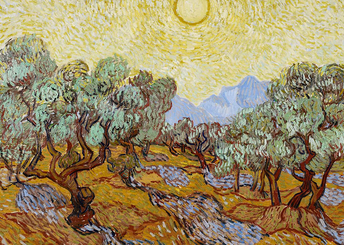 Olive Trees
