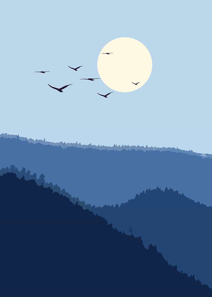 minimalist nature