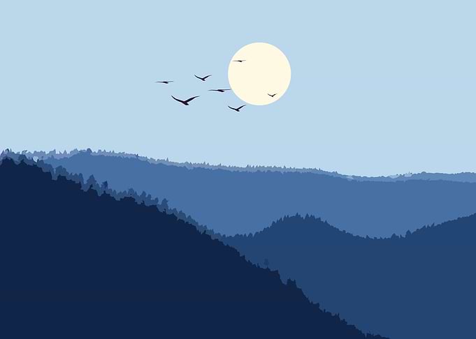 minimalist nature 2
