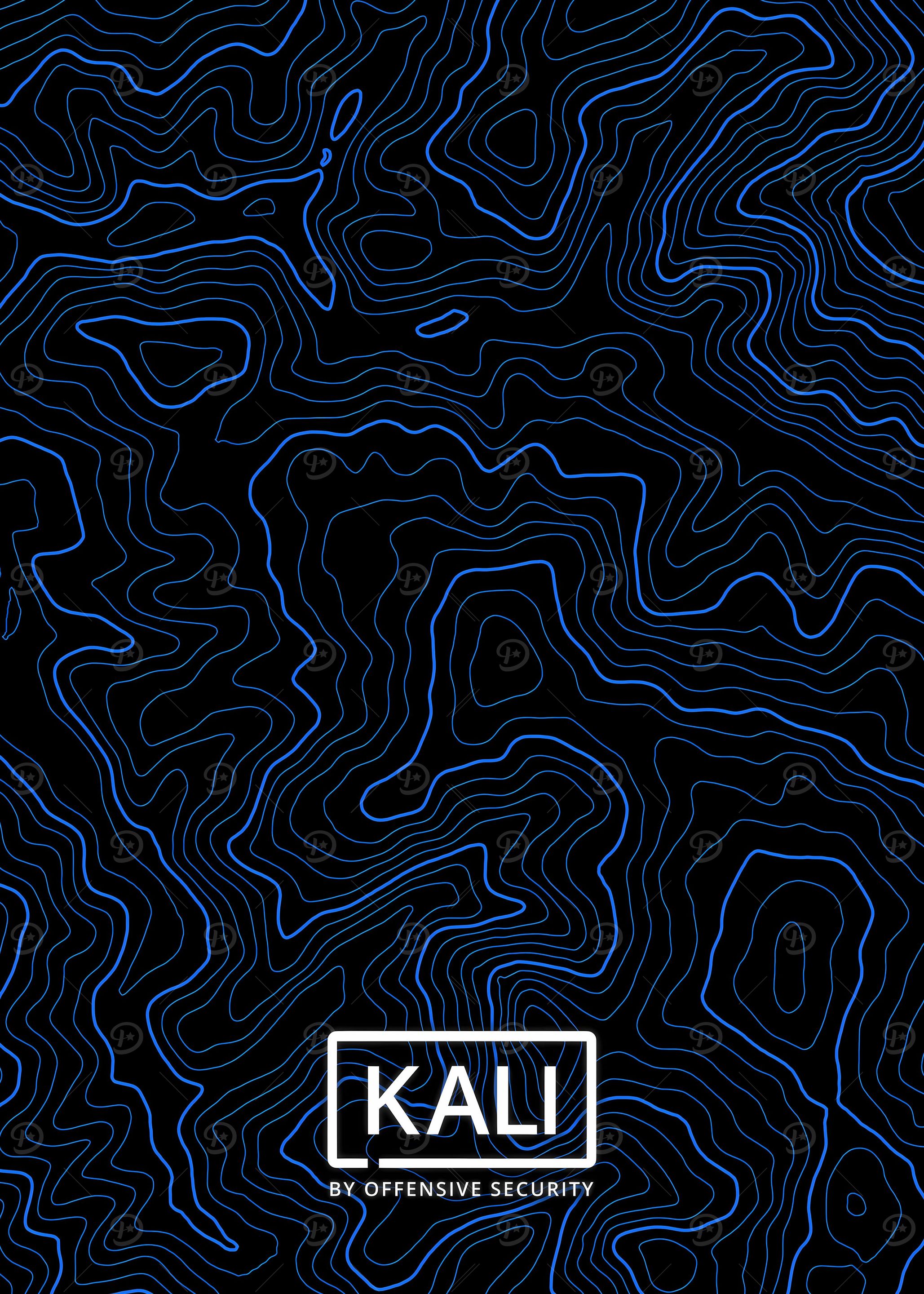 Kali Linux Art Hacker
