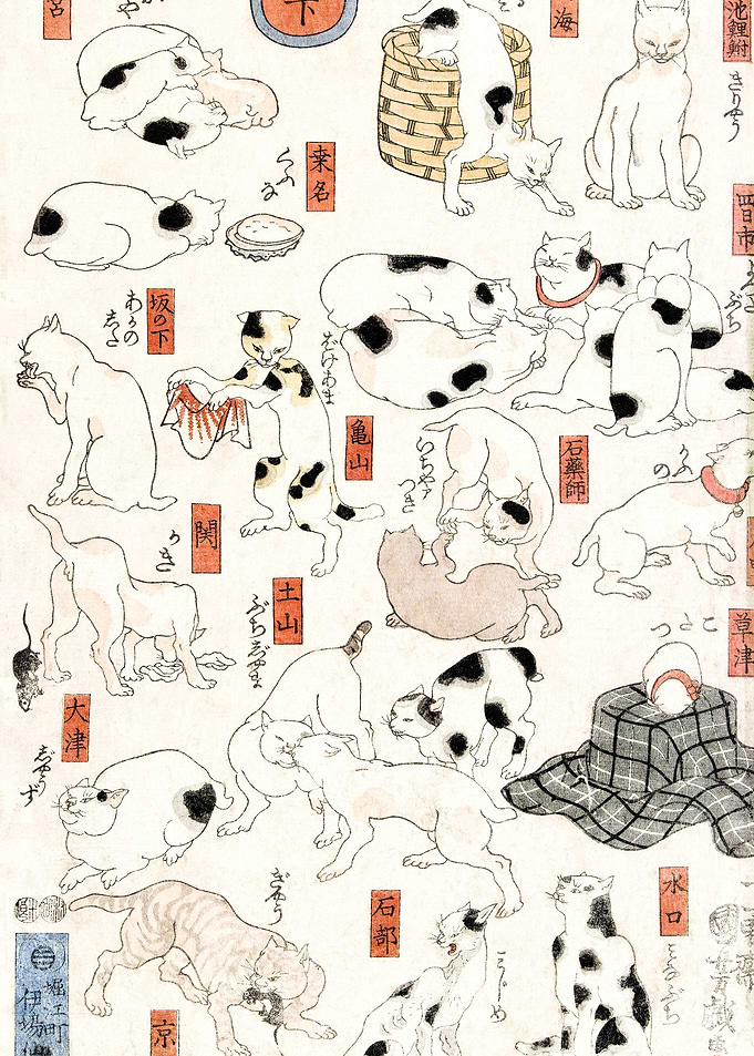 Cats