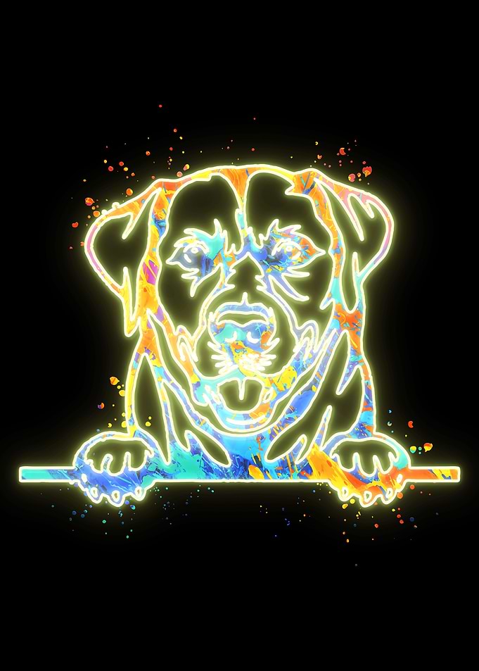 Labrador Dog Portrait