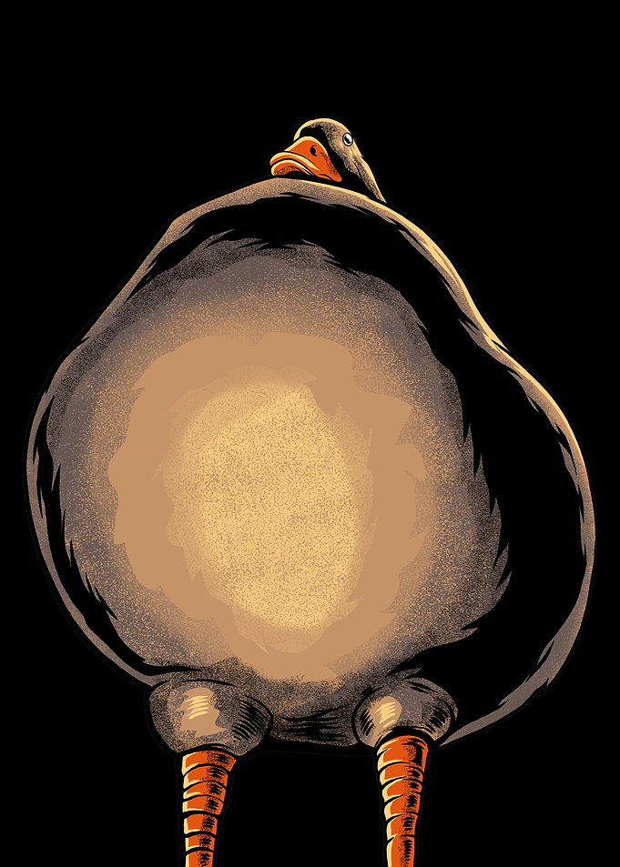 Pathetic Duck Meme
