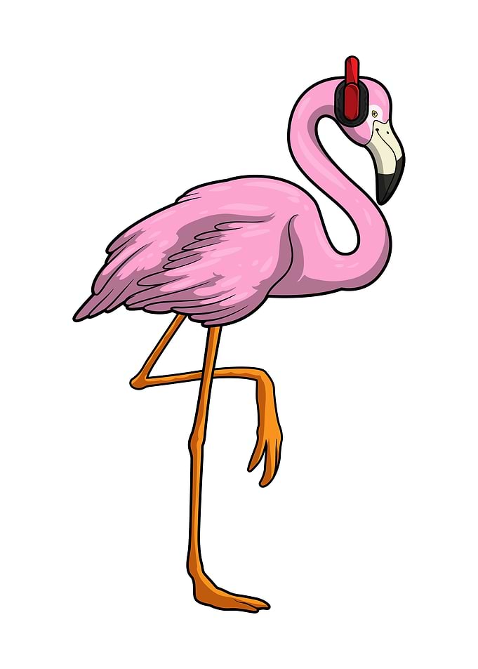 Flamingo Headphone Music