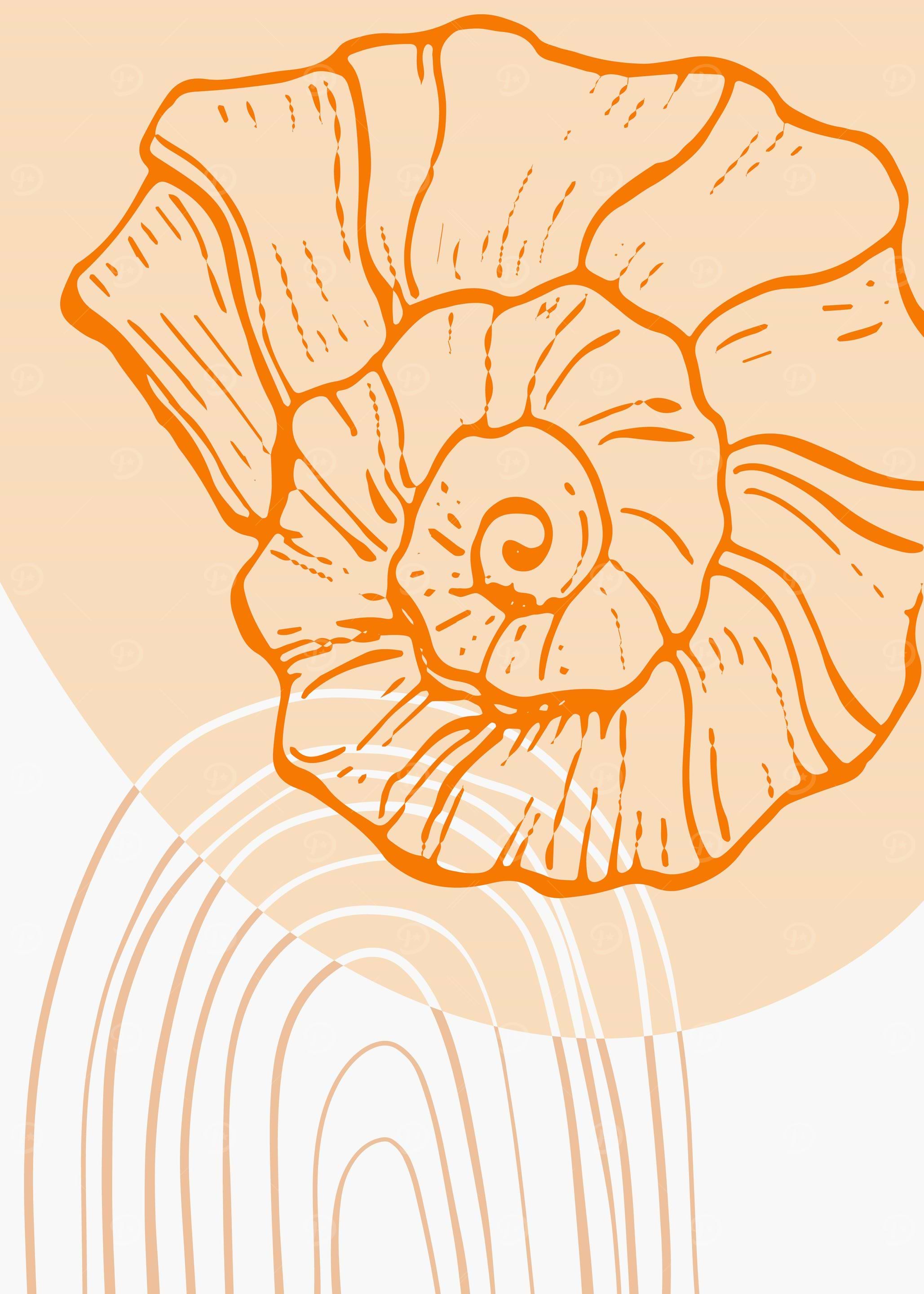 Sea shell