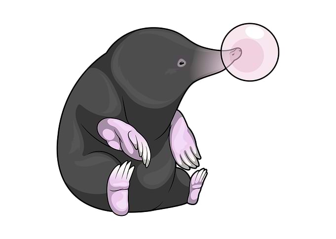 Mole Chewing gum