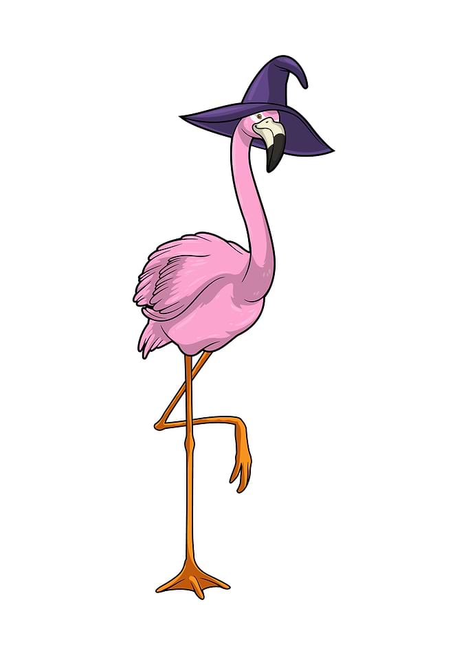 Flamingo Witch Hat