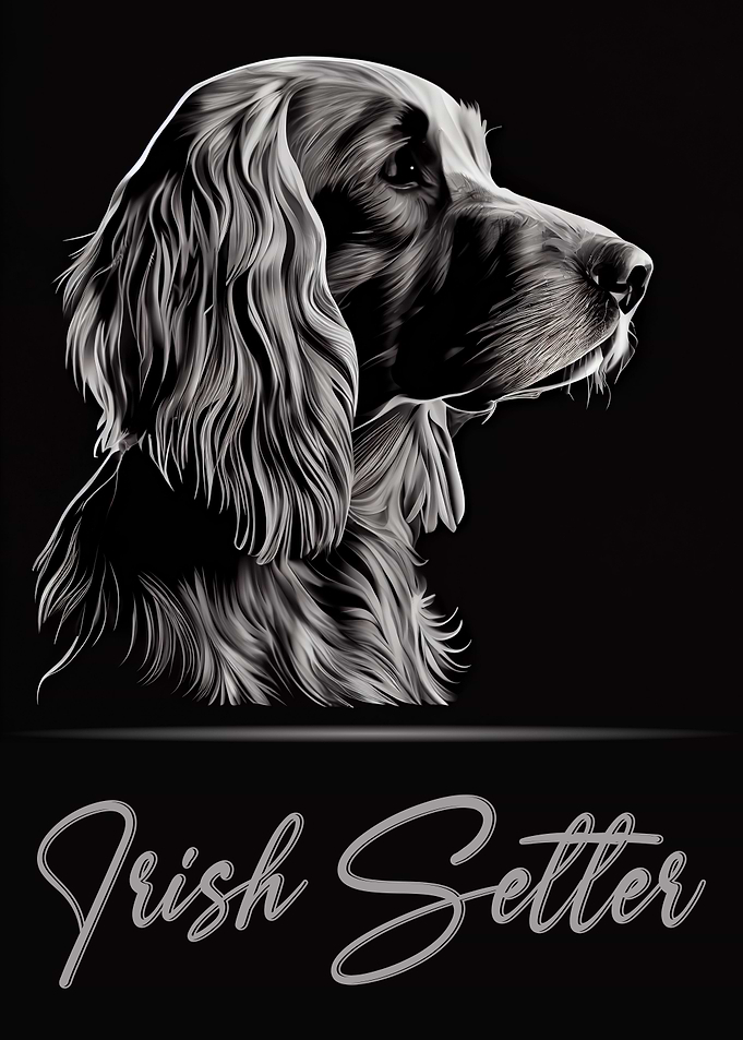 Elegant Irish Setter