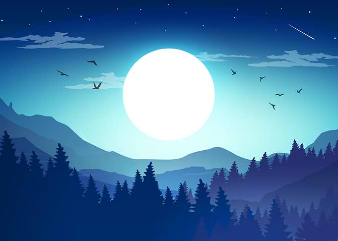 Blue Forest