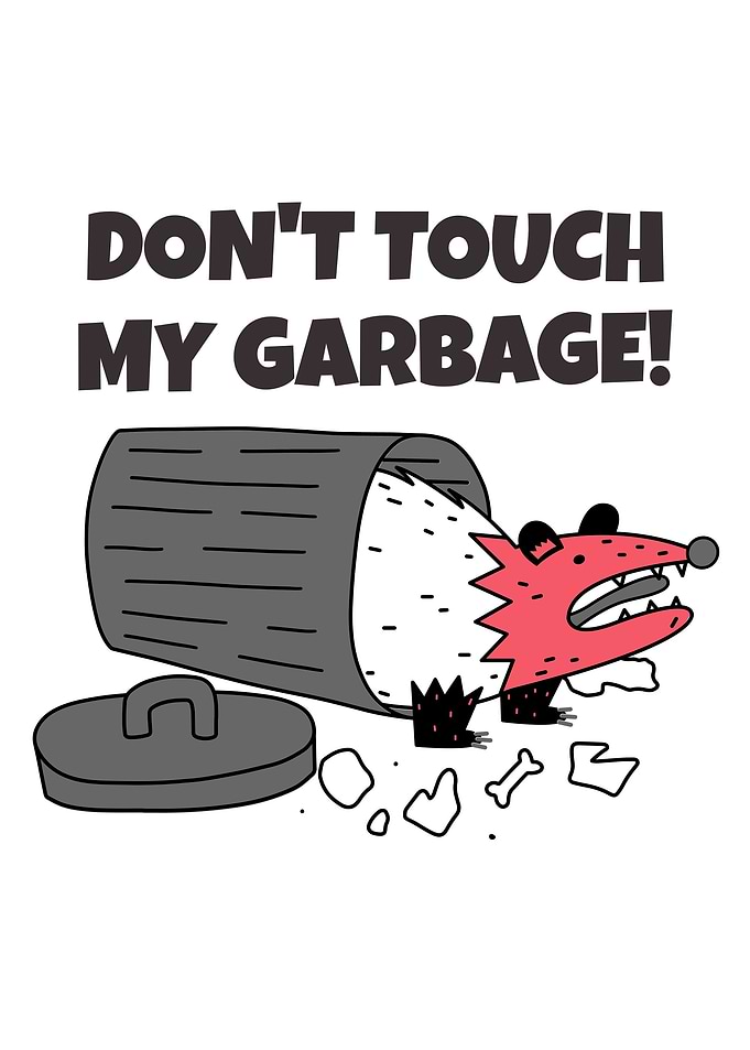 Funny Opossum