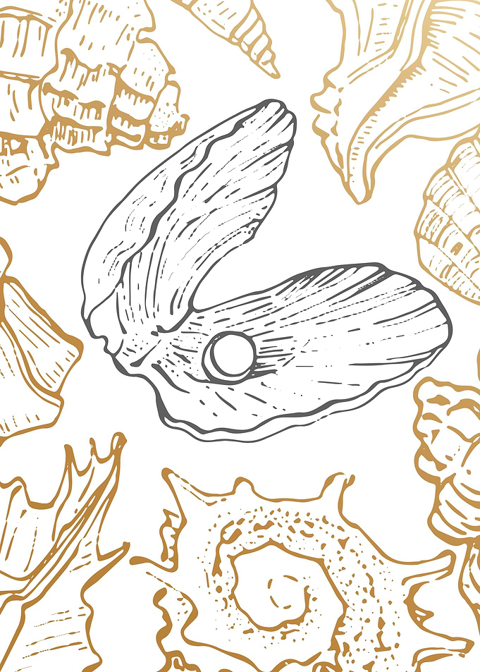 Sea shell
