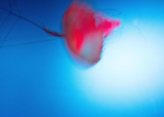 Motion Underwater