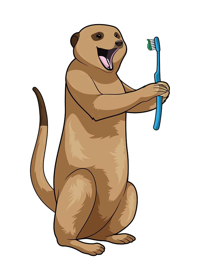Meerkat Dentist Toothbrush