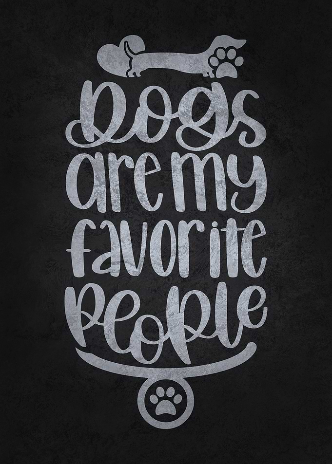 Dogs Are Favorite People