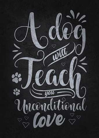 Dog Unconditional Love
