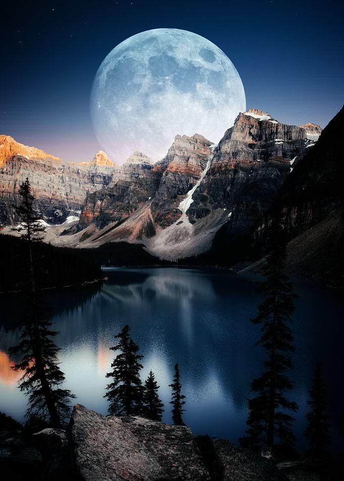 nice nature
