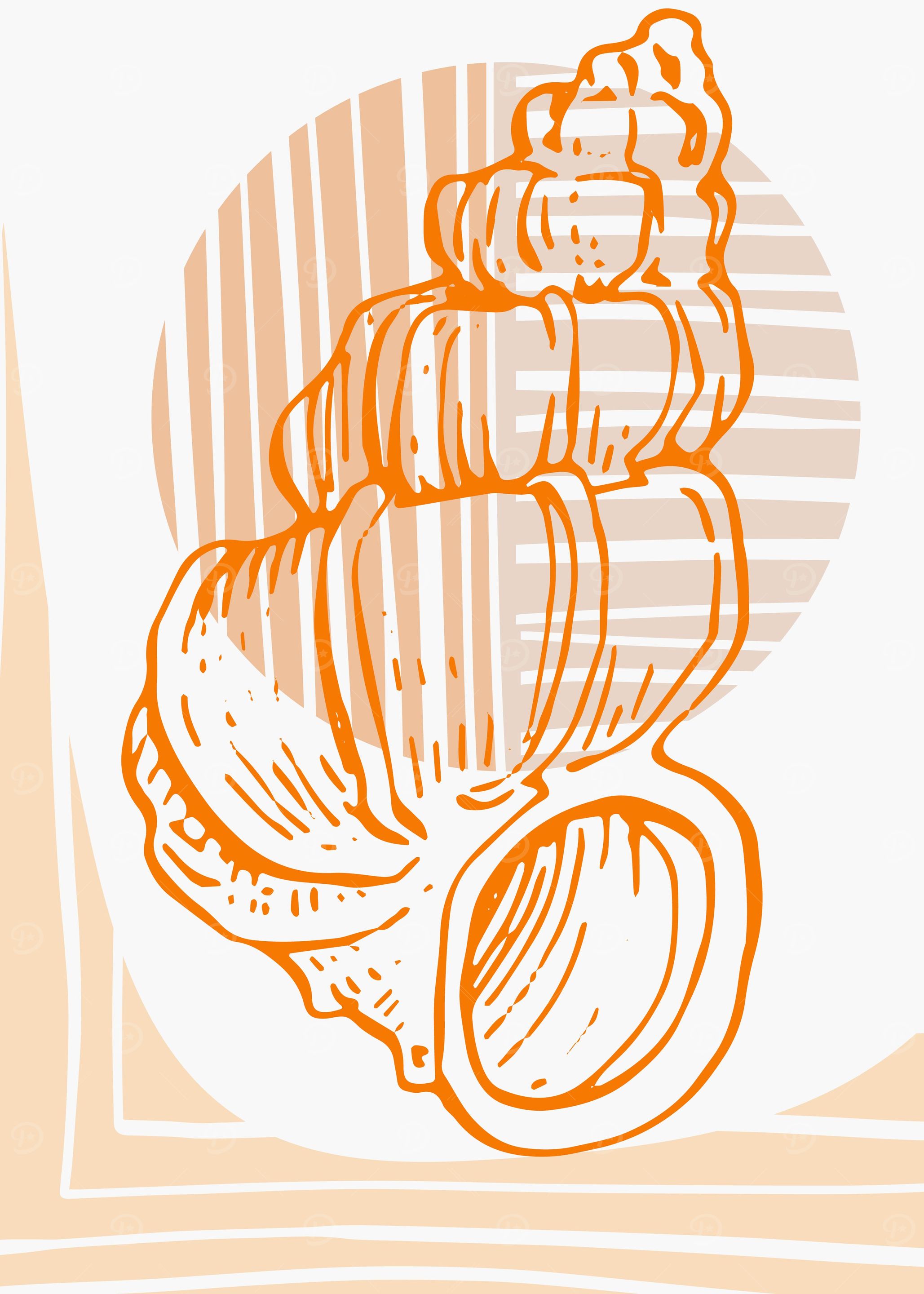 Sea shell
