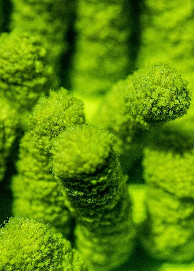 Abstract Photography