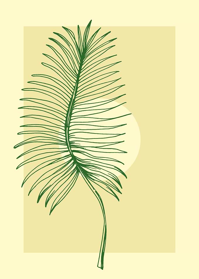 Tropical palm