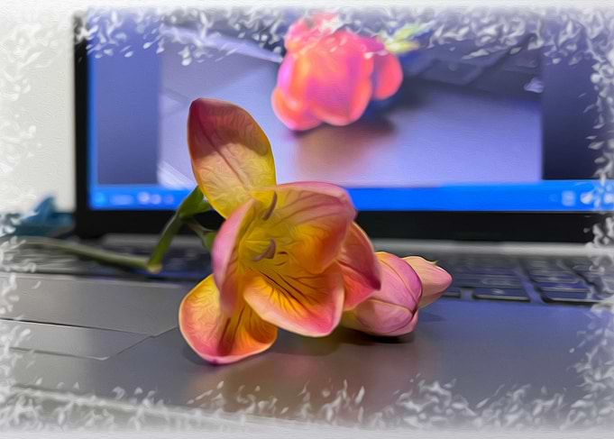 Freesia flower on the keyb