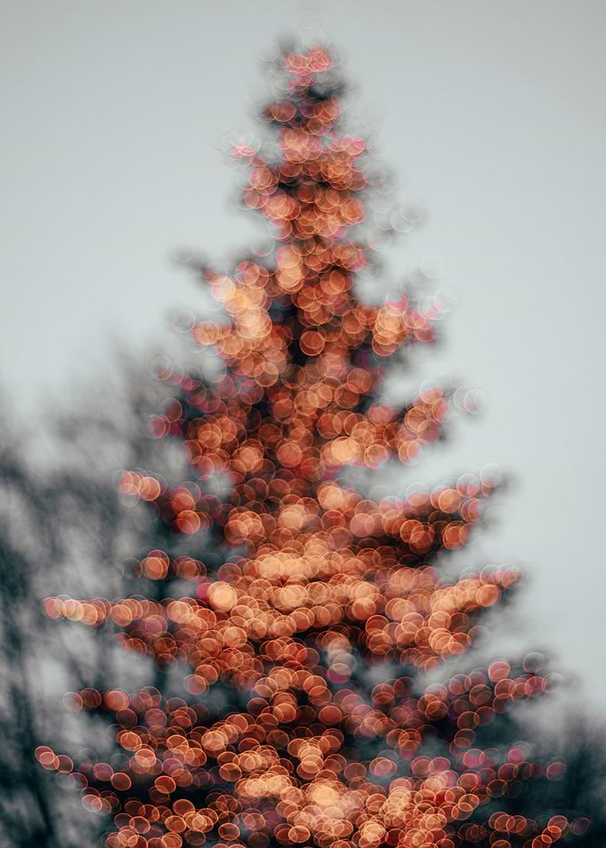 Bokeh Art