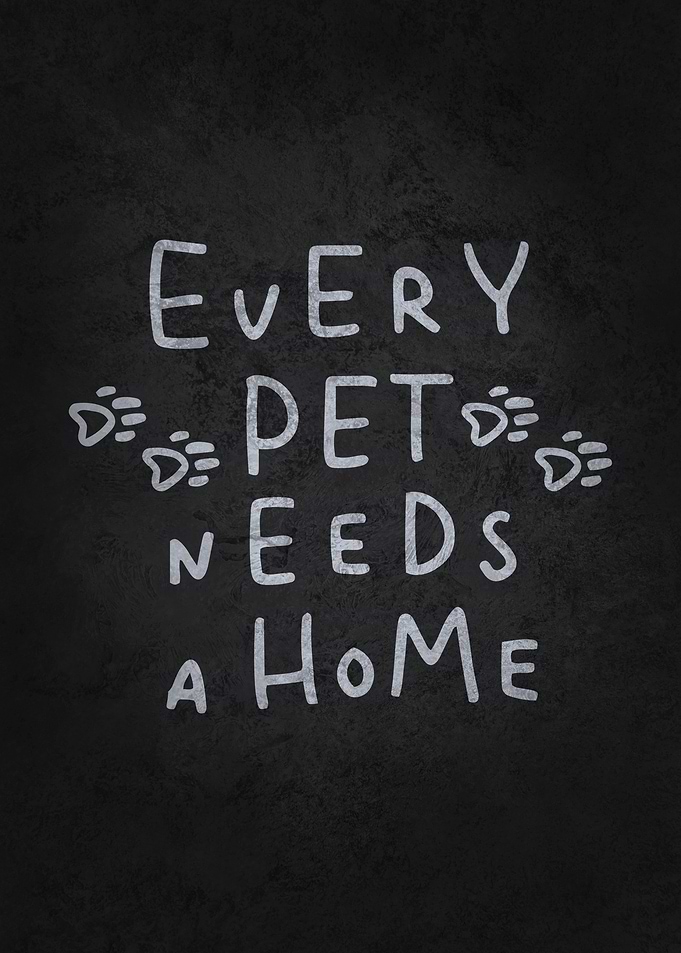 Every Pet Needs A Home