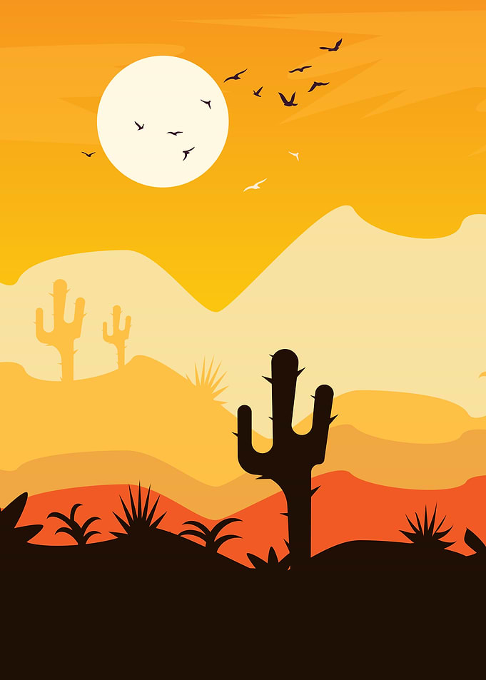 Desert Sunset Cactus