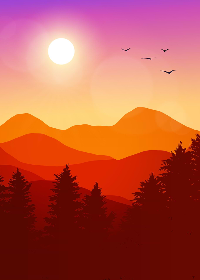 Orange Sunset Forest