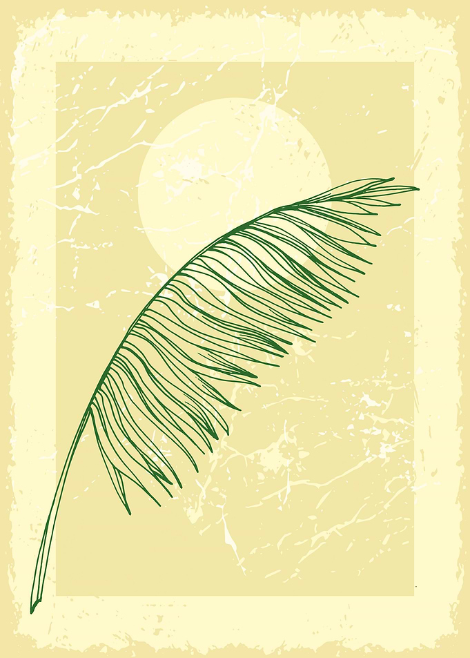 Tropical palm