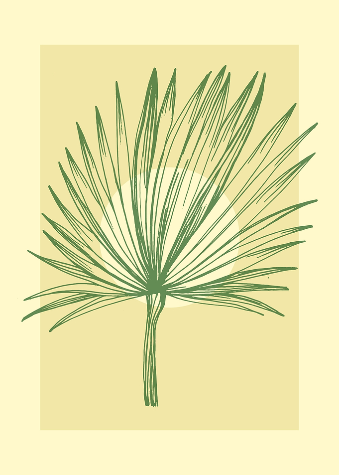Tropical palm