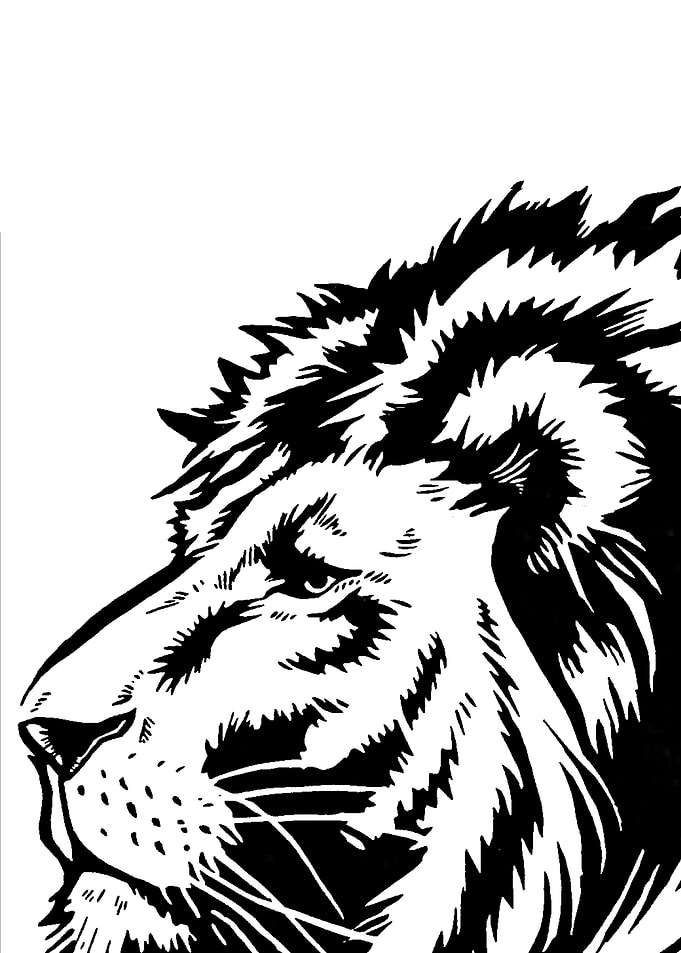 lion