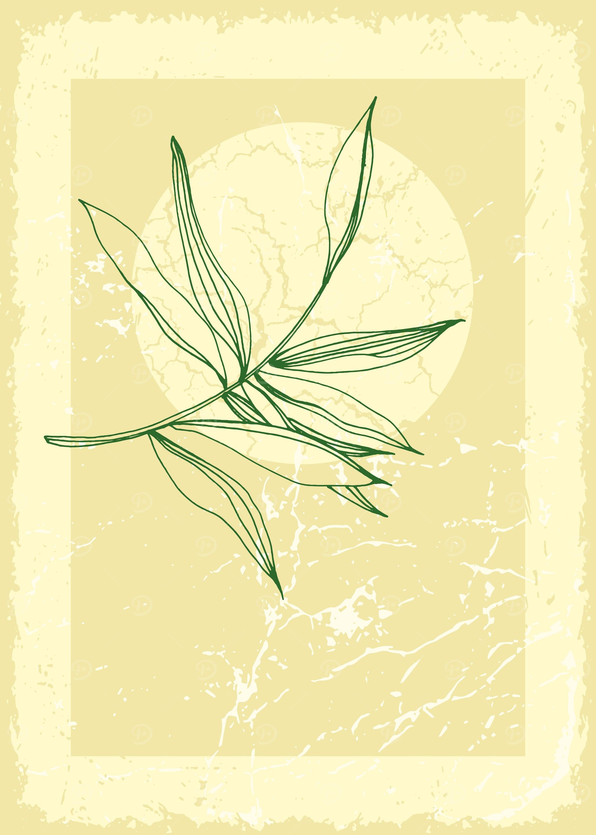 Tropical palm