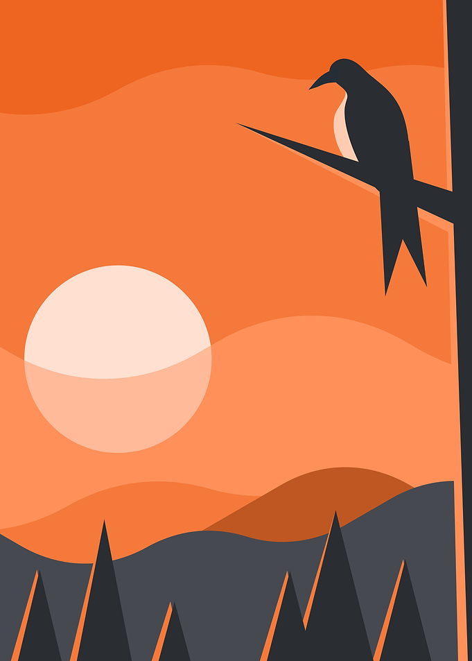 Bird and Sunset