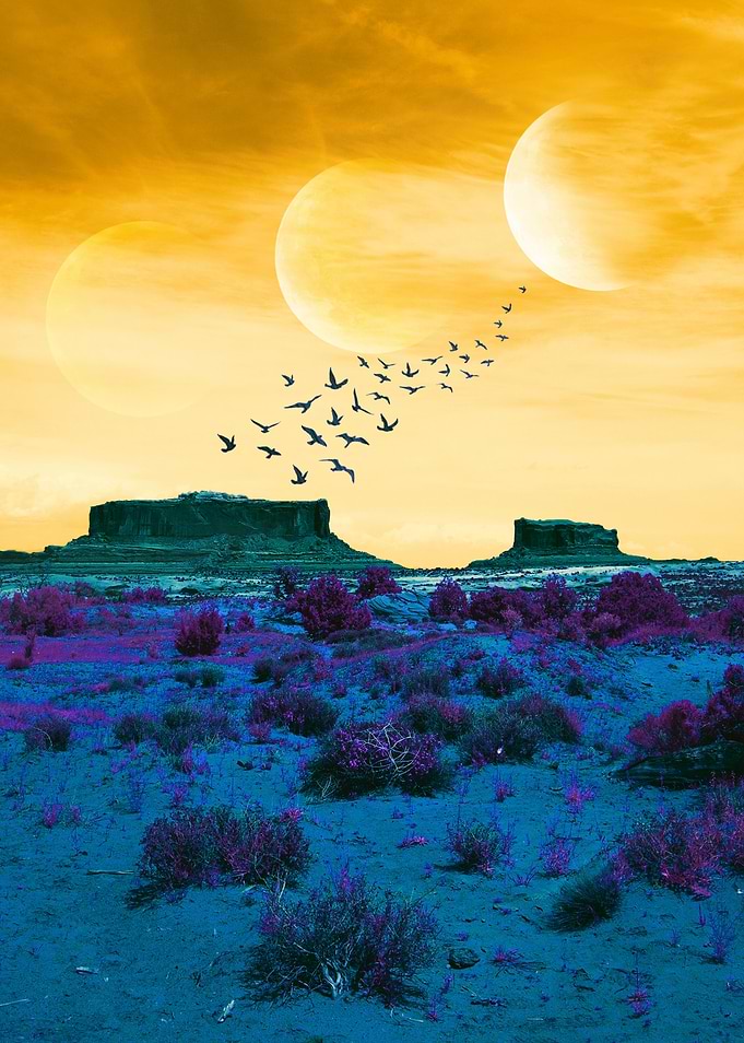 Thirst Desert