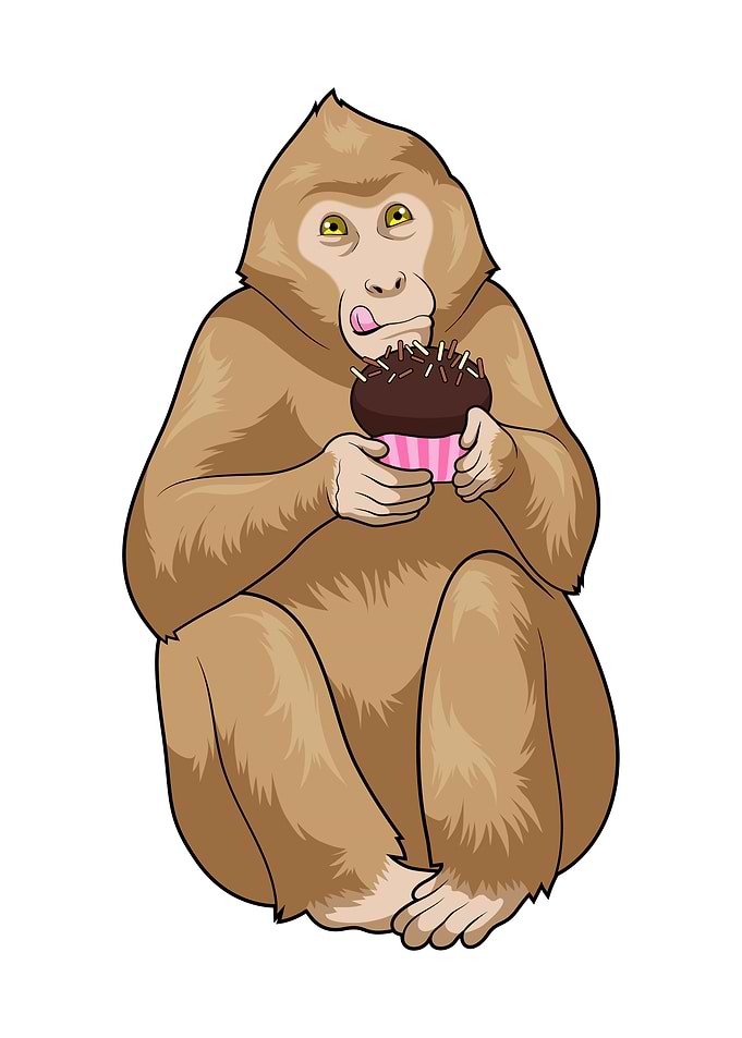 Monkey Muffin