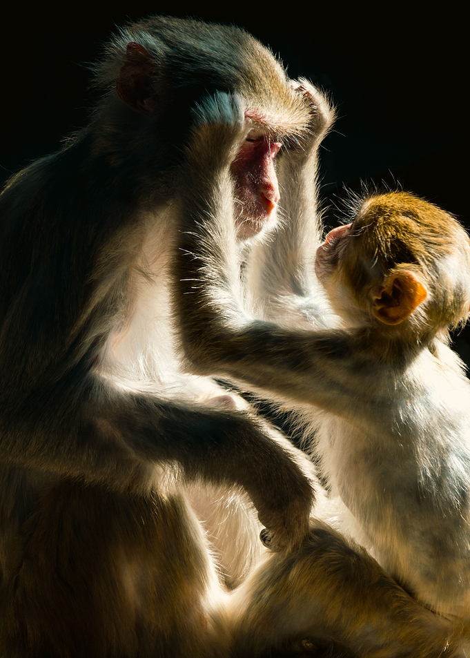 Mother and child