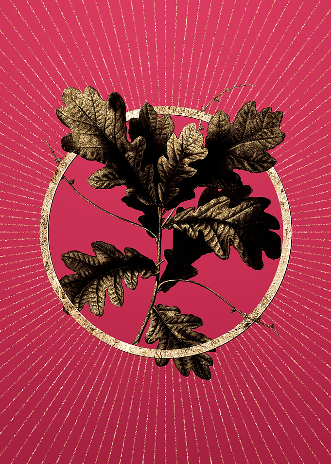 Viva Magenta English Oak