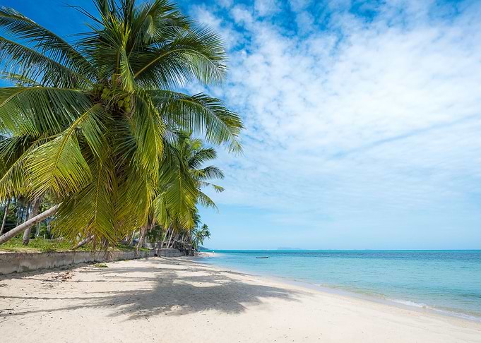 hawaii beach