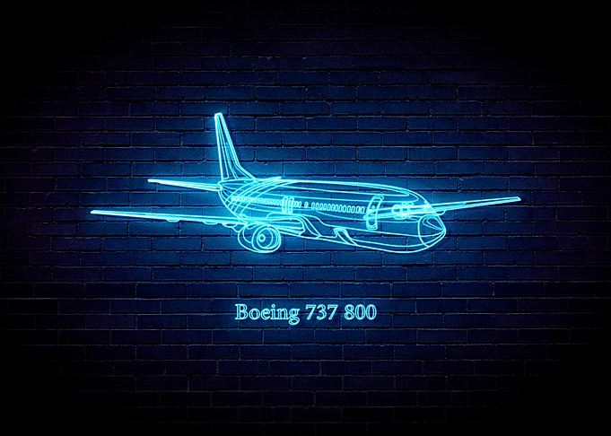 Boeing 737 800