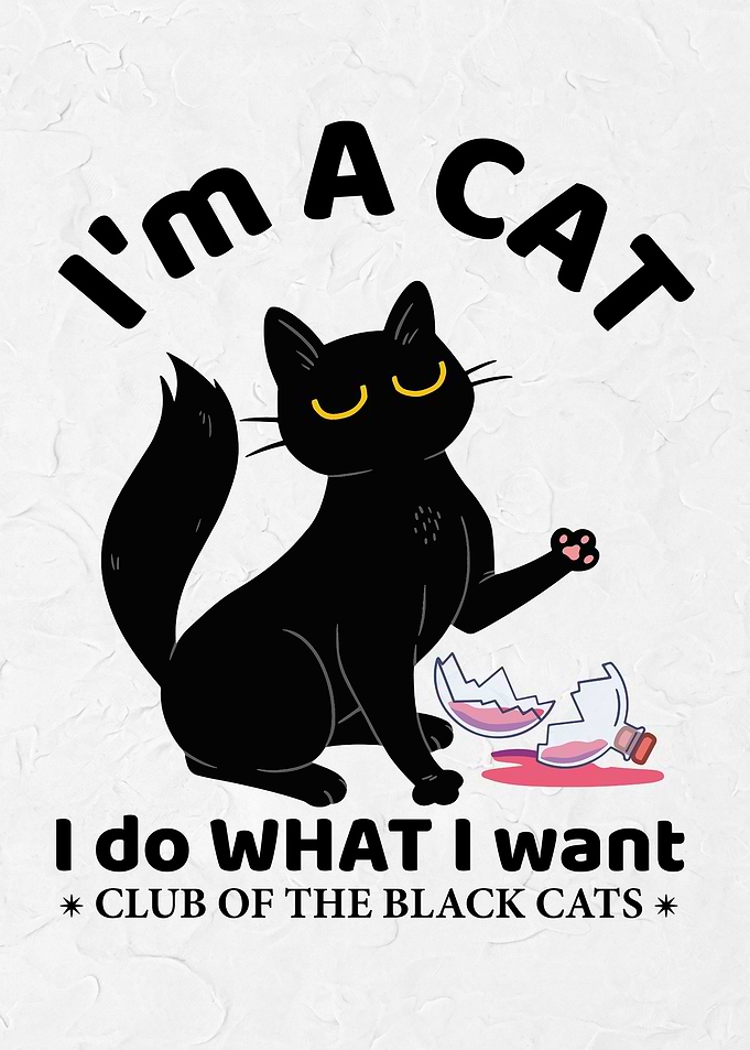Black Cat Club