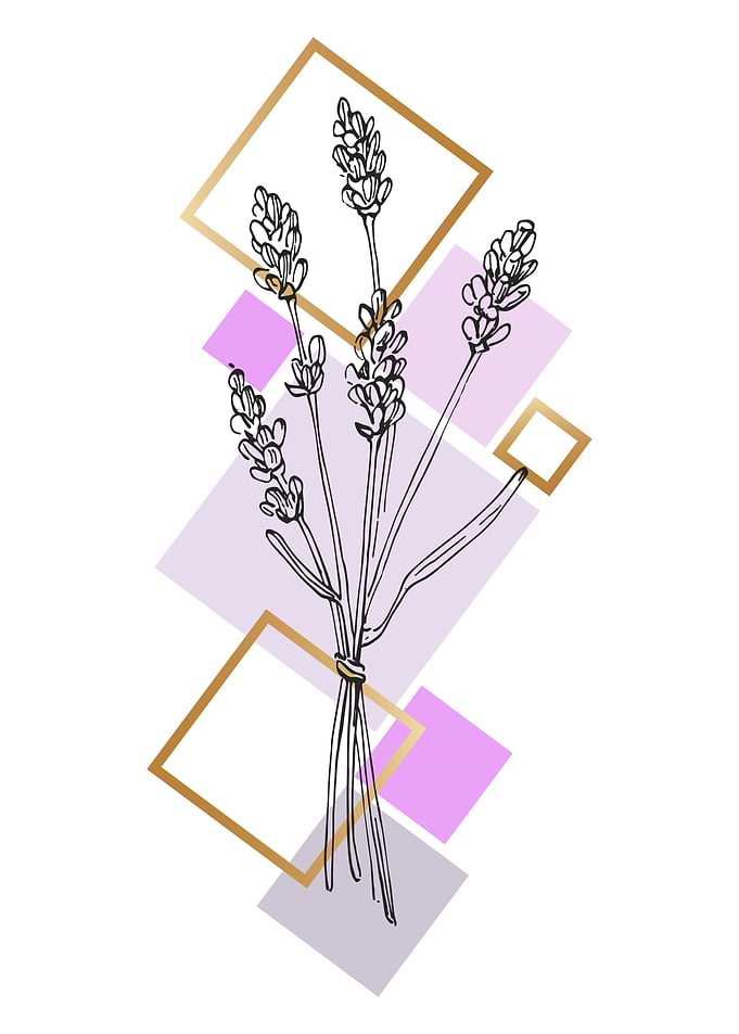 Lavender