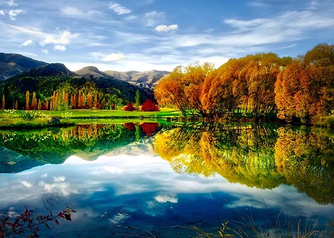 reflection
