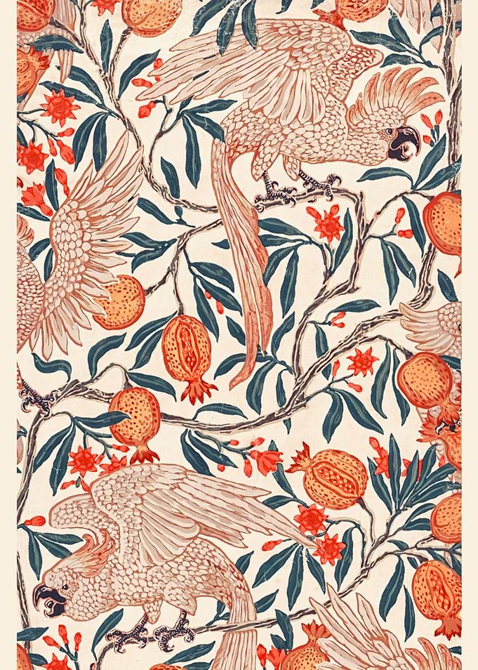 Cockatoo and Pomegranate