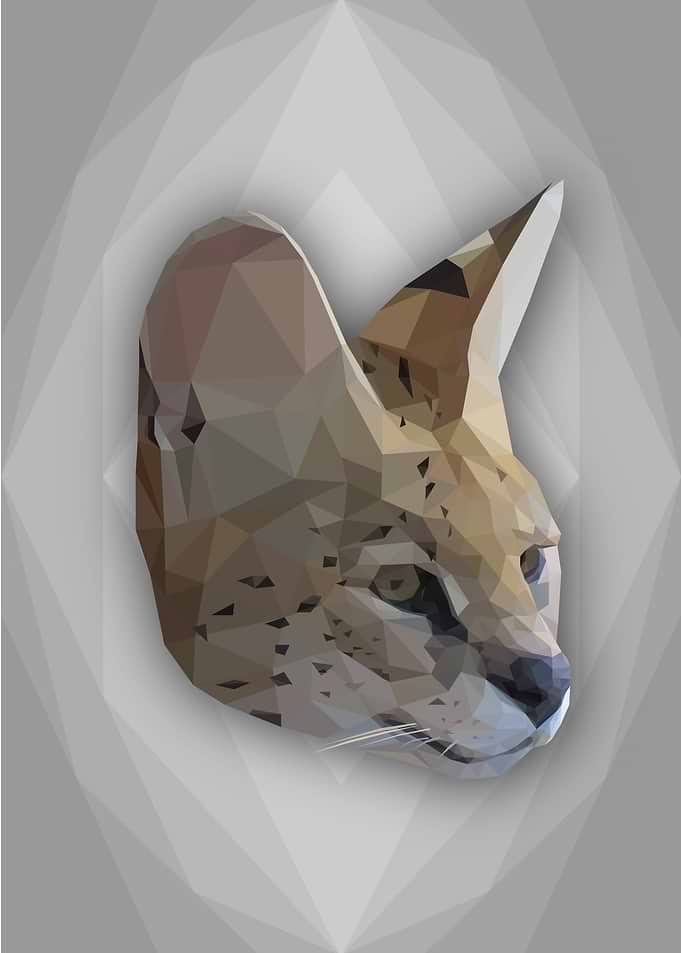 Low Poly African Serval