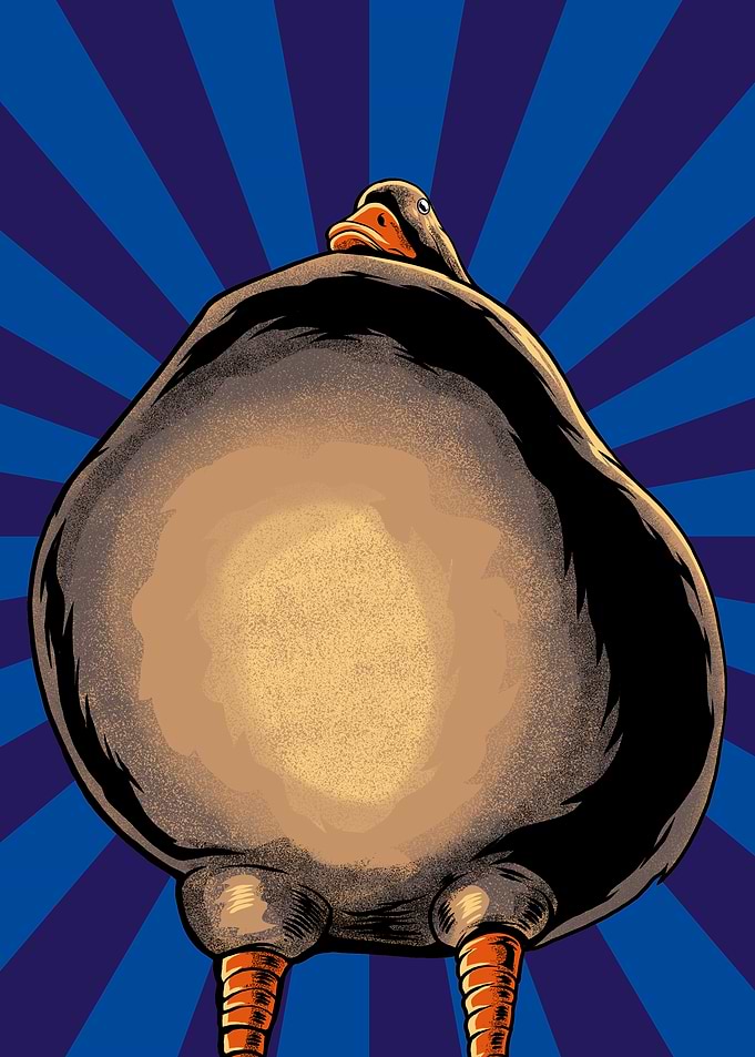 Pathetic Duck Memes