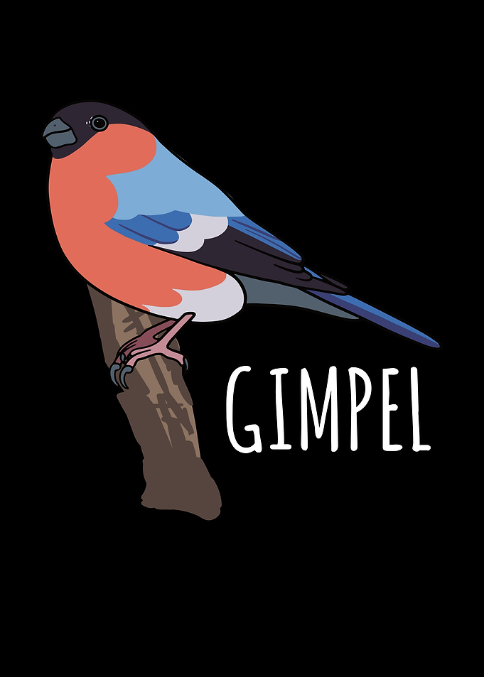 Bullfinch Bullfinch Bird