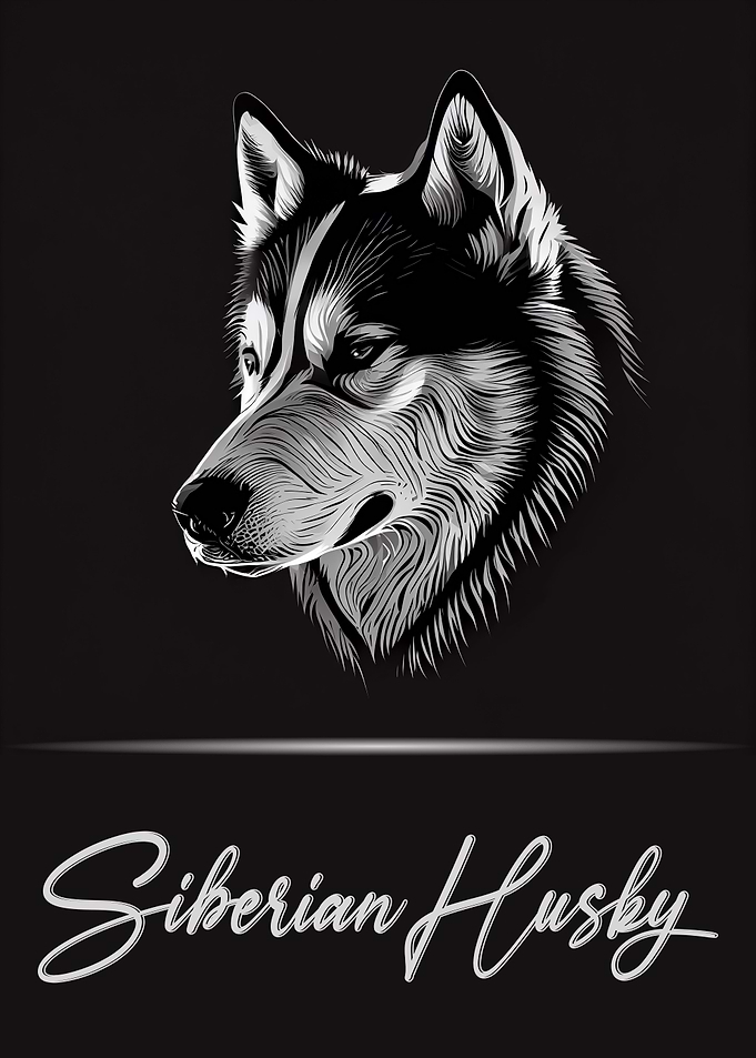 Elegant Siberian Husky